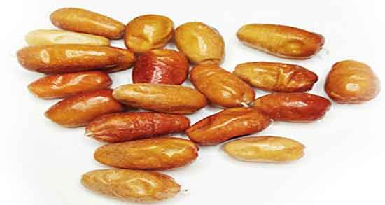 خاصیت سنجد ؛ فواید مصرف پودر سنجد برای سرماخوردگی کودکان