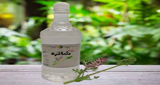 خاصیت عرق شاتره ؛ فواید مصرف عرق شاتره در دوران بارداری زنان چیه