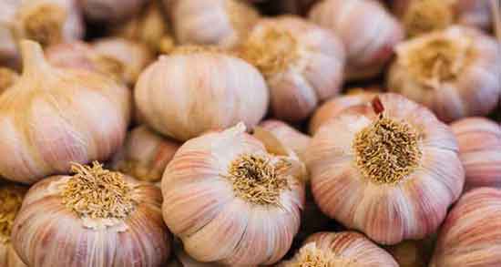 خواص آب سیر و پیاز ؛ خاصیت خوردن اب سیر و پیاز برای هضم بهتر غذا