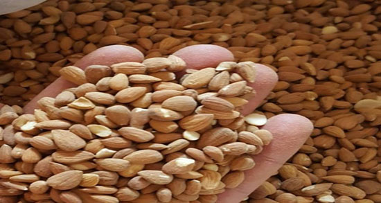 خواص الوک برای لاغری ؛ فواید مصرف الوک برای چربی سوزی شکم