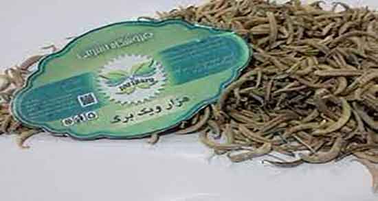 خواص بخور ناخنک ؛ ایا بخور ناخنک برای سرماخوردگی مفید است