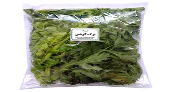 خواص برگ کرفس تازه ؛ فواید مصرف برگ کرفس تازه برای چربی سوزی