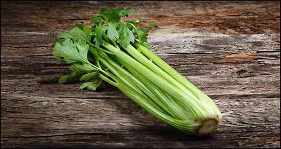 خواص برگ کرفس چیست؟ ؛ خاصیت مصرف برگ کرفس برای زخم معده