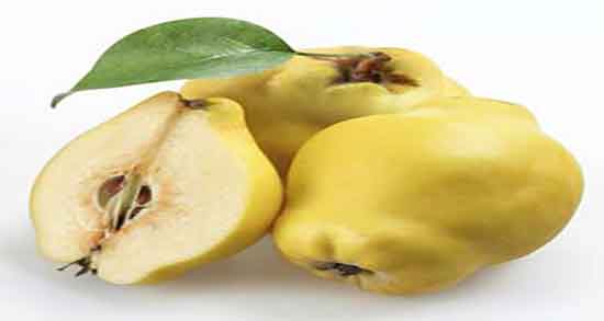 خواص به دانه برای سرفه ؛ ایا مصرف دمنوش به دانه برای سرفه مفیده