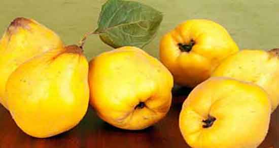 خواص به دانه برای نوزاد ؛ خاصیت به دانه برای پایین اوردن سرفه کودکان