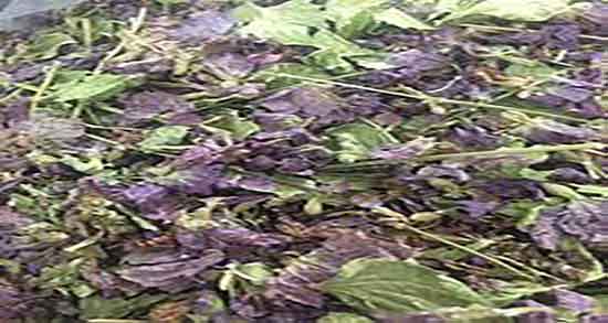 خواص داروی گل اروانه ؛ فواید مصرف داروی گل اروانه برای نفخ معده