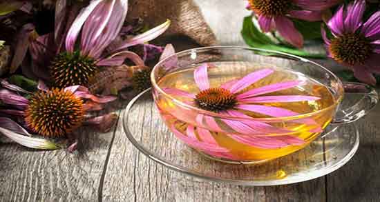 خواص درمانی اکیناسه ؛ خاصیت درمانی اکیناسه برای نفخ شکم نوزادان