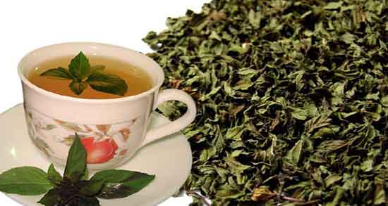 خواص درمانی دمنوش ریحان ؛ ایا مصرف دمنوش ریحان خاصیت دارویی دارد