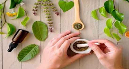 خواص درمانی روغن سداب ؛ فواید مصرف روغن سداب همراه با روغن زیتون