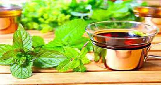 خواص درمانی چای پونه ؛ خاصیت درمانی چای پونه برای سرماخوردگی