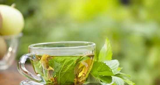 خواص درمانی چای گزنه ؛ خاصیت درمانی چای گزنه برای بی خوابی