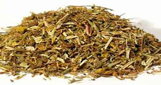 خواص درمانی گل راعی ؛ مصرف گل راعی و خاصیت درمانی ان برای معده