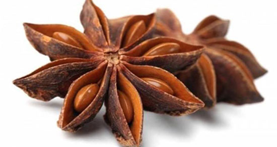 خواص دمنوش انیسون در طب سنتی ؛ دمنوش انیسون از نظر طب سنتی