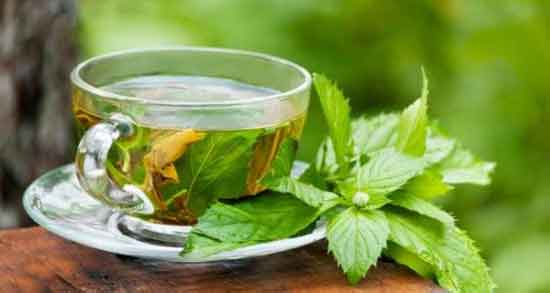 خواص دمنوش ریحان در طب سنتی ؛ فواید دمنوش ریحان از نظر طب سنتی