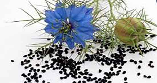 خواص دمنوش سیاه دانه برای لاغری ؛ خاصیت دمنوش سیاه دانه برای لاغری