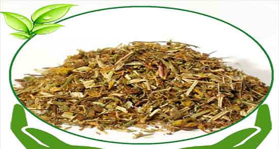 خواص دمنوش گل راعی ؛ خاصیت مصرف دمنوش گل راعی برای افسردگی