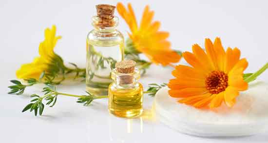 خواص دمنوش گل همیشه بهار برای زنان ؛ دمنوش گل همیشه بهار برای رحم