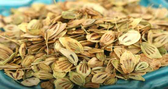خواص دمنوش گلپر برای حافظه و رحم و سرماخوردگی و مردان