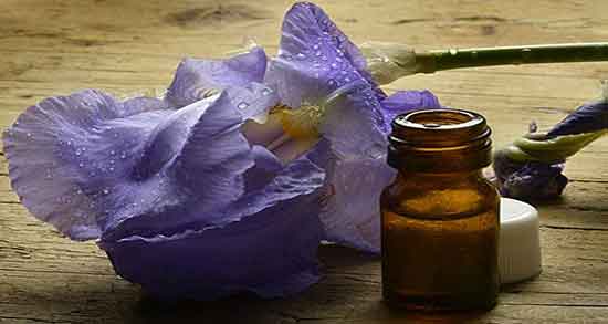 خواص روغن زنبق در طب اسلامی برای بواسیر و تزریق روغن زنبق در رحم نی نی سایت