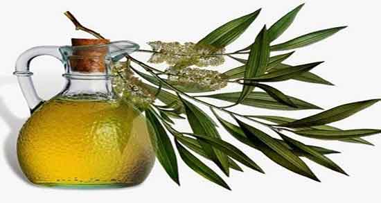 خواص روغن مورد برای ابرو ؛ روش استفاده از روغن مورد برای تقویت مو