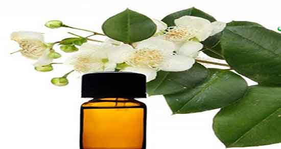 خواص روغن مورد مرکب ؛ فواید مصرف روغن مورد مرکب برای بلندی مژه