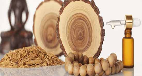 خواص روغن چوب صندل برای پوست ؛ تاثیر مصرف روغن چوب صندل برای جوانسازی پوست