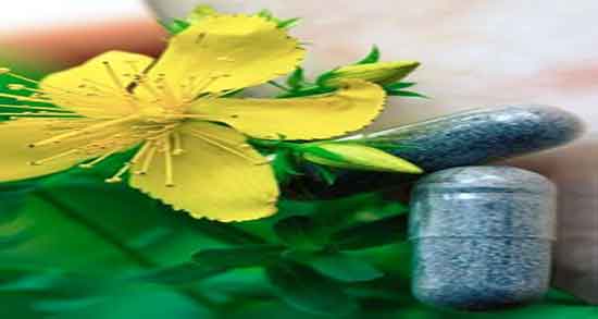 خواص روغن گل راعی ؛ فواید مصرف روغن گل راعی برای پوست صورت