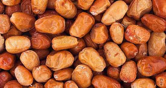 خواص سنجد برای مردان ؛ خاصیت خوردن سنجد برای اقایان چیست