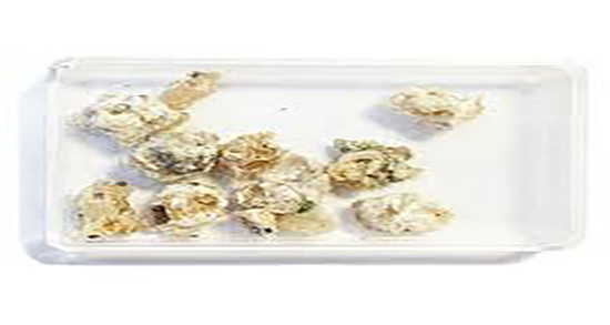 خواص شیرخشت برای نوزادان و فواید مصرف شیرخشت برای کودکان چیست خواص شیرخشت برای نوزادان ؛ فواید مصرف شیرخشت برای کودکان چیست