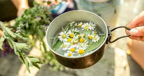خواص عرق بابونه برای قاعدگی ؛ فواید مصرف عرق بابونه برای دوران پریودی