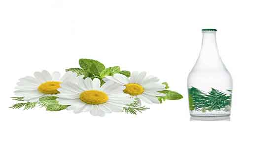 خواص عرق بابونه برای مو ؛ خوردن عرق بابونه برای تقویت ریشه موی سر
