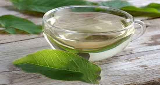 خواص عرق برگ گردو در طب سنتی ؛ فواید عرق برگ گردو در طب سنتی