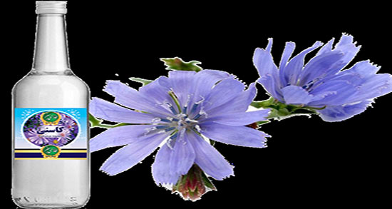 خواص عرق بید کاسنی چیست ؛ خاصیت مصرف عرق بید کاسنی چیه