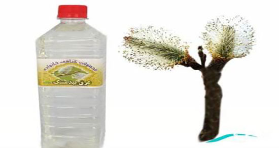 خواص عرق بید گیاه ؛ تاثیر درمانی عرق بید برای نفخ شکم زنان باردار