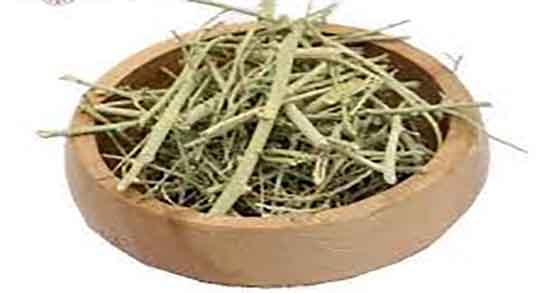 خواص عرق خارشتر و دیابت ؛ مصرف عرق خارشتر برای کنترل قند خون