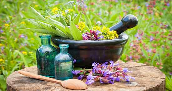 خواص عرق شاتره برای لاغری و مردان و مو و چشم و کاسنی و خاکشیر