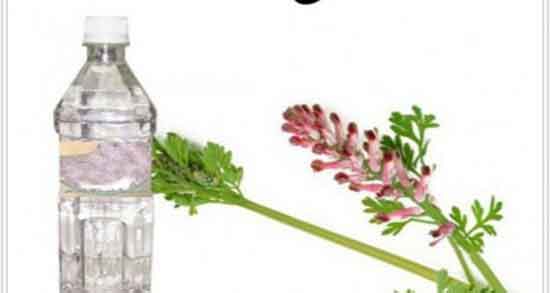 خواص عرق شاتره برای مو ؛ استفاده از عرق شاتره برای تقویت موی سر