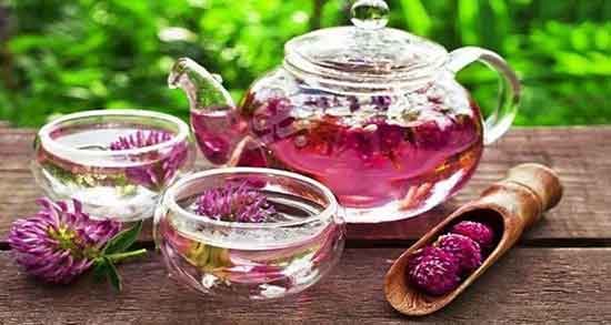 خواص عرق شاه تره و کاسنی برای مردان و چشم و خاکشیر و مو و لاغری