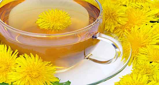 خواص عرق قاصدک در طب سنتی ؛ فواید مصرف عرق قاصدک در طب سنتی
