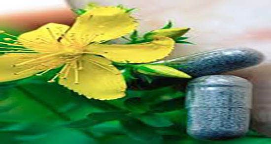 خواص علف چای در طب سنتی ؛ خاصیت علف چای از نظر طب سنتی