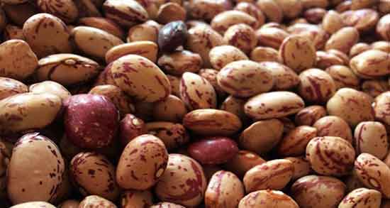 خواص لوبیا برای لاغری ؛ خاصیت مصرف لوبیا قرمز برای چربی سوزی