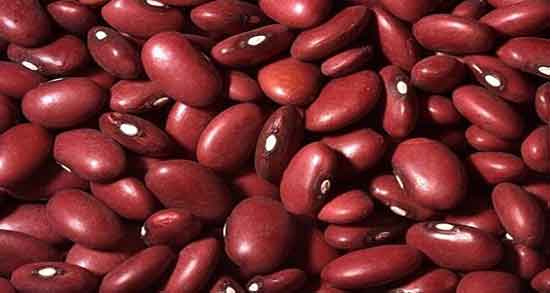 خواص لوبیا برای کلیه ؛ فواید مصرف لوبیا قرمز برای درمان سنگ کلیه