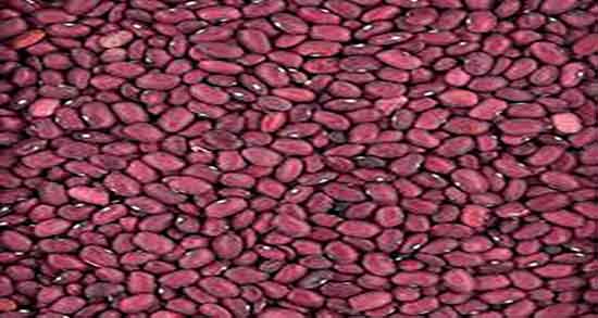 خواص لوبیا برای کودک ؛ از چه سنی میشود به کودکان حبوبات داد