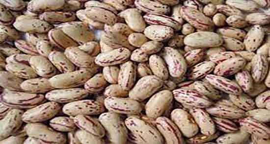 خواص لوبیا برای کودکان ؛ خاصیت مصرف خوراک لوبیا چیتی برای کودک