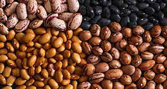 خواص لوبیا کپسولی ؛ فواید لوبیا قرمز یا کپسولی برای لاغری بدن
