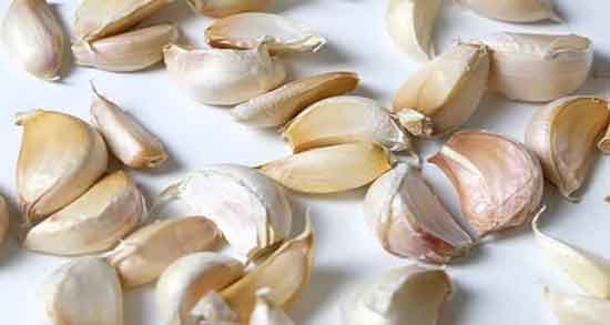 خواص ماست و سیر و کدو ؛ ترکیب ماست و سیر و کدو برای دستگاه گوارش