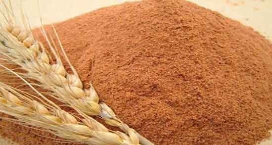 خواص مالت جو بدون الکل در طب سنتی برای چاقی و لاغری
