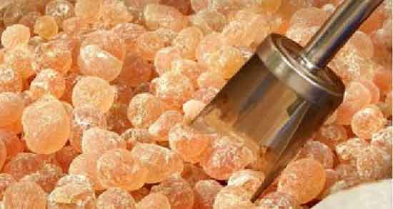 خواص مصطکی برای حافظه ؛ خوردن مصطکی برای تقویت حافظه کودکان