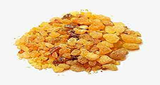خواص مصطکی و لاغری ؛ خاصیت مصطکی برای چربی سوزی شکم