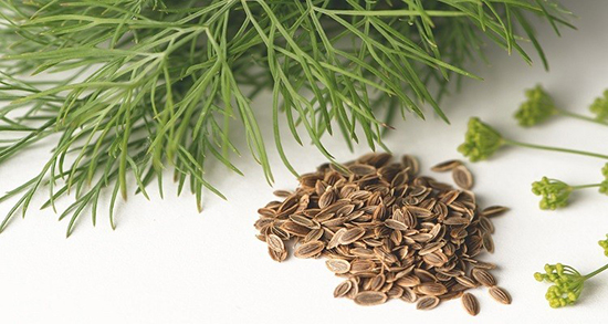 خواص میتخم برای زنان ؛ تاثیر مصرف میتخم برای رفع عفونت تخمدان زنان